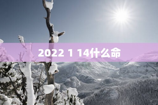 2025 1 14什么命