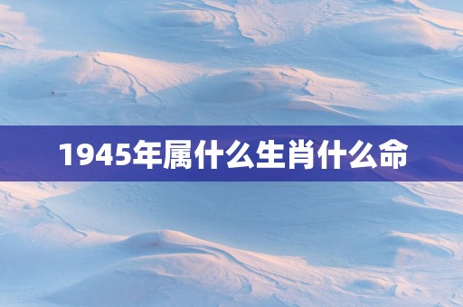 1945年属什么生肖什么命