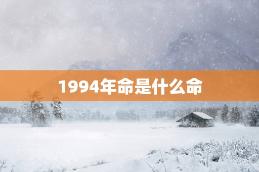 1994年命是什么命