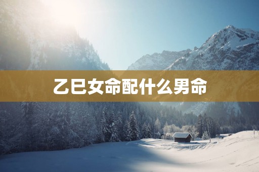 乙巳女命配什么男命