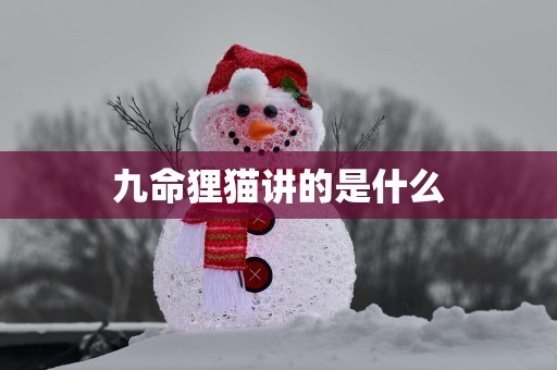 九命狸猫讲的是什么