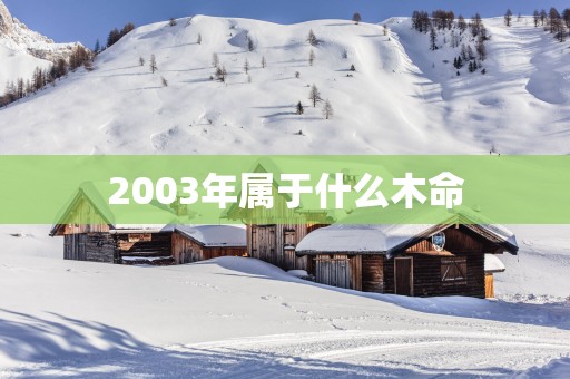 2003年属于什么木命