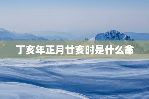 丁亥年正月廿亥时是什么命
