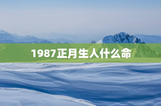 1987正月生人什么命