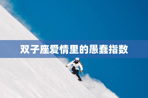 双子座爱情里的愚蠢指数