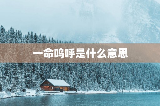 一命呜呼是什么意思