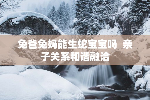 兔爸兔妈能生蛇宝宝吗  亲子关系和谐融洽