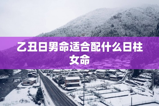 乙丑日男命适合配什么日柱女命