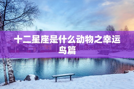 十二星座是什么动物之幸运鸟篇