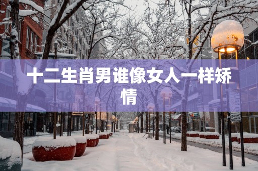 十二生肖男谁像女人一样矫情