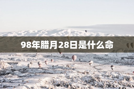 98年腊月28日是什么命