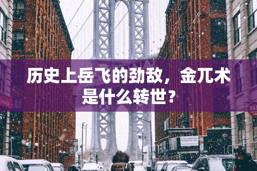 历史上岳飞的劲敌，金兀术是什么转世？