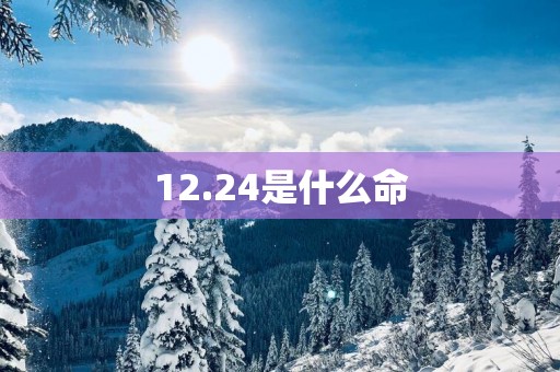 12.24是什么命