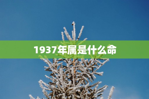 1937年属是什么命