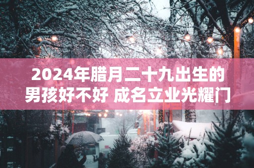 2025年腊月二十九出生的男孩好不好 成名立业光耀门楣
