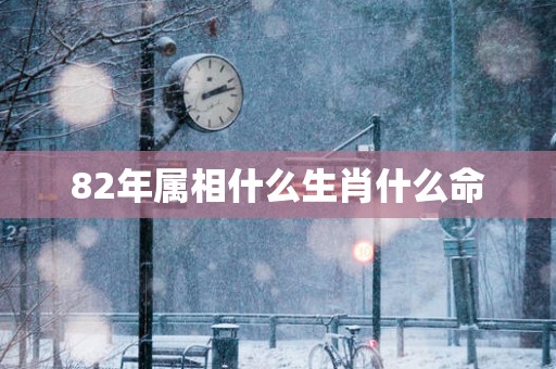 82年属相什么生肖什么命