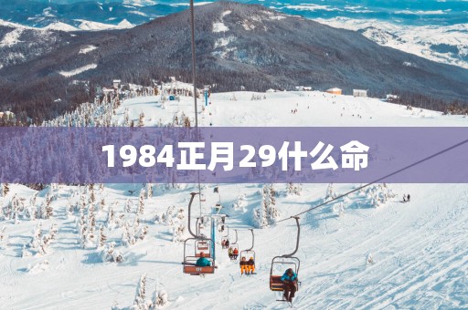 1984正月29什么命