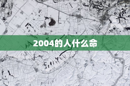 2004的人什么命
