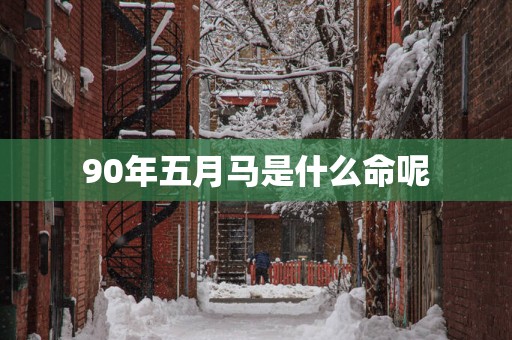 90年五月马是什么命呢