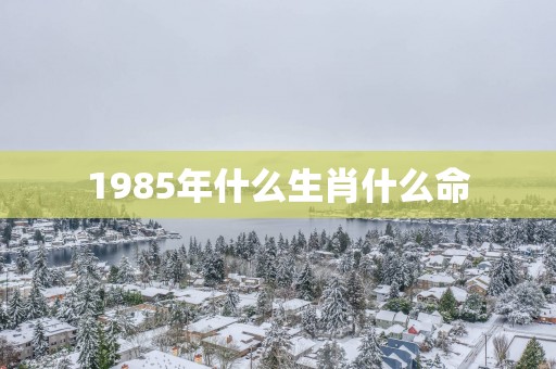 1985年什么生肖什么命