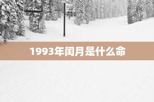 1993年闰月是什么命