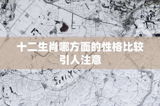 十二生肖哪方面的性格比较引人注意