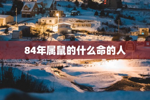 84年属鼠的什么命的人