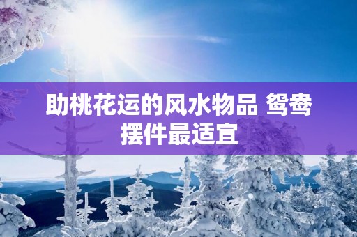 助桃花运的风水物品 鸳鸯摆件最适宜 助桃花运的风水物品 鸳鸯摆件最适宜