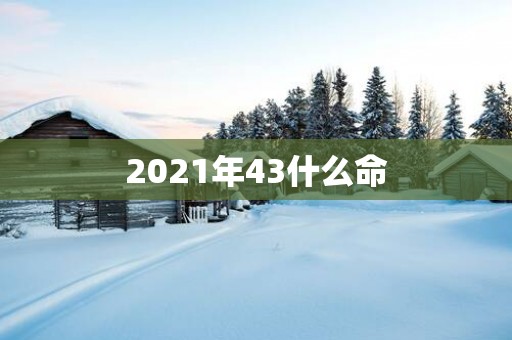 2025年43什么命