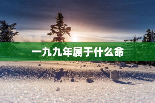 一九九年属于什么命