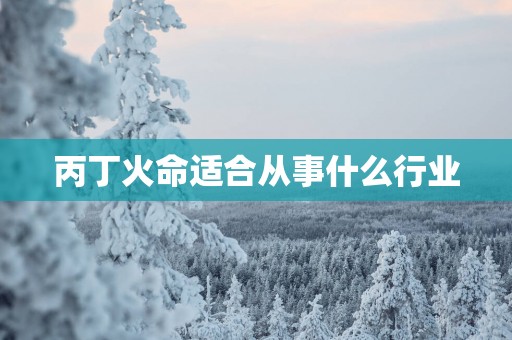 丙丁火命适合从事什么行业