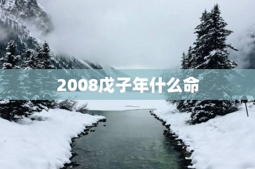 2008戊子年什么命 2008戊子年什么命