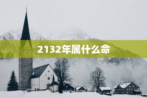 2132年属什么命