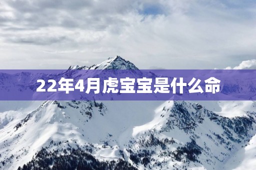 22年4月虎宝宝是什么命