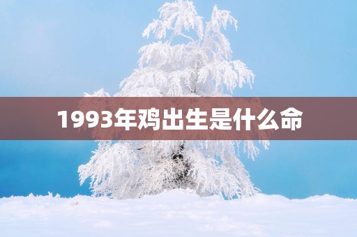 1993年鸡出生是什么命
