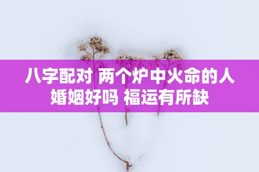 八字配对 两个炉中火命的人婚姻好吗 福运有所缺
