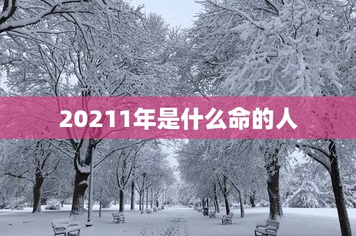 20251年是什么命的人