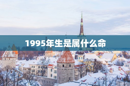 1995年生是属什么命