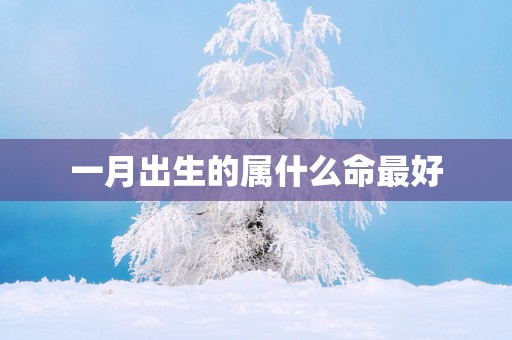 一月出生的属什么命最好