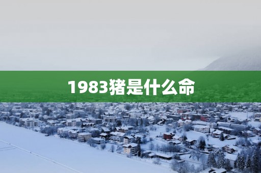 1983猪是什么命