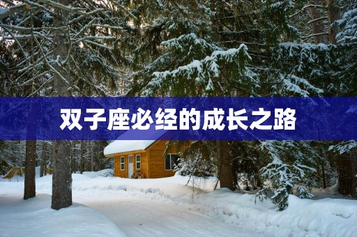 双子座必经的成长之路
