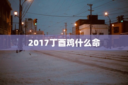 2017丁酉鸡什么命