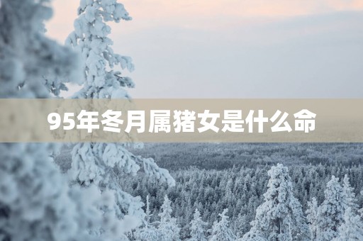 95年冬月属猪女是什么命