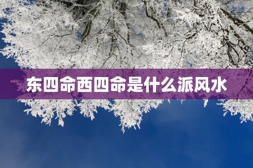 东四命西四命是什么派风水