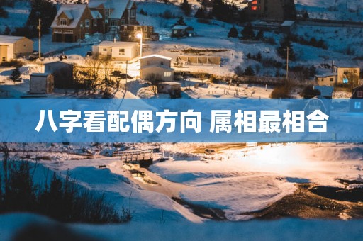 八字看配偶方向 属相最相合