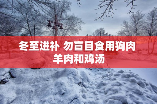 冬至进补 勿盲目食用狗肉 羊肉和鸡汤