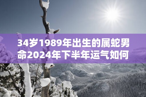 34岁1989年出生的属蛇男命2025年下半年运气如何 运势详解