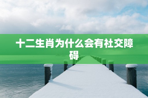 十二生肖为什么会有社交障碍