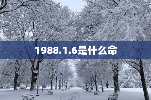 1988.1.6是什么命