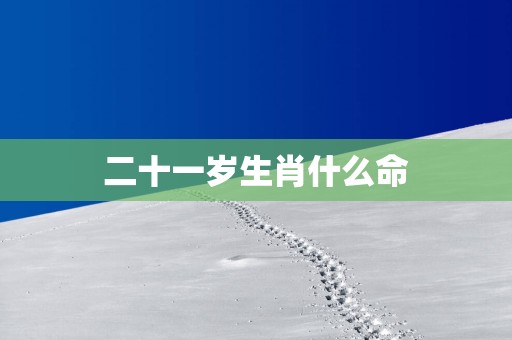 二十一岁生肖什么命